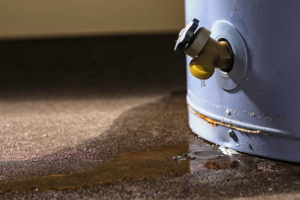 Best Water damage restoration insurance claims  in Pascoag, RI