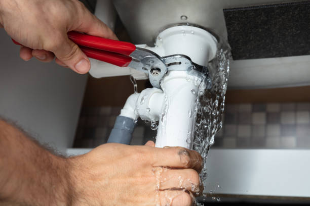 Best Mold removal after water damage  in Pascoag, RI