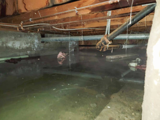 Best Flooded house restoration  in Pascoag, RI