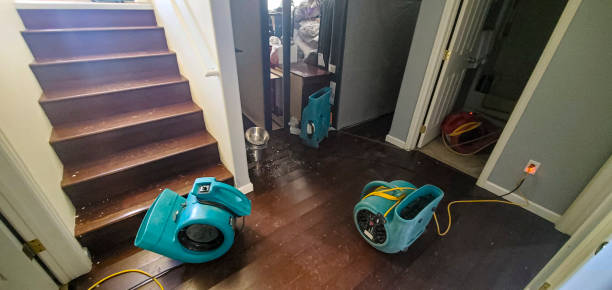 Best Emergency water damage restoration  in Pascoag, RI