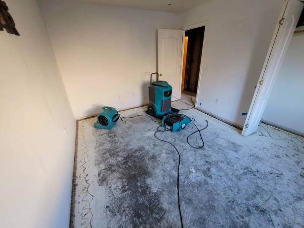 Best Carpet water damage restoration  in Pascoag, RI