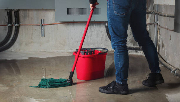 Best Water damage restoration near me  in Pascoag, RI