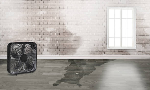 Best 24/7 water damage repair  in Pascoag, RI