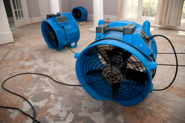 Water damage restoration mold remediation in Pascoag, RI