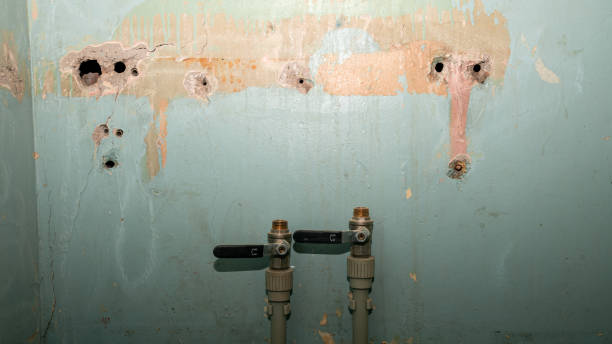 Best Water damage contractors near me  in Pascoag, RI